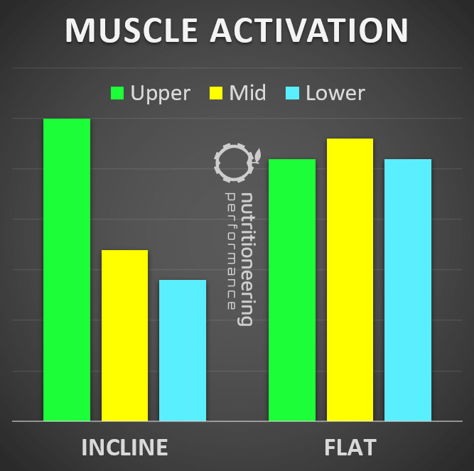 Incline vs Flat Bench Muscle Activation