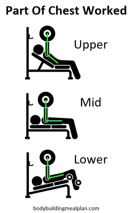 Incline vs Flat vs Decline Bench Press