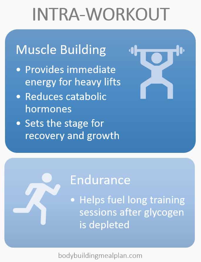 Intra Workout Infographic Intra Workout Infographic