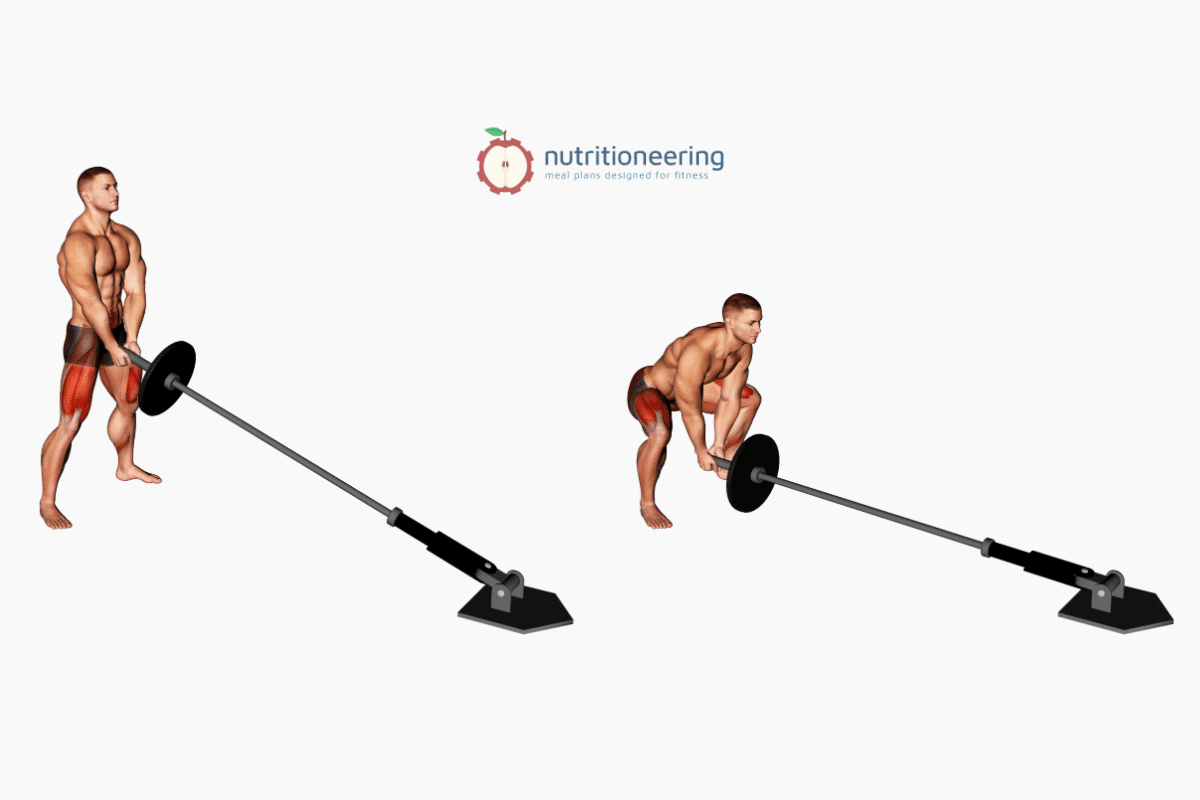 Landmine Leg Exercises Sumo Squat Landmine Leg Exercises Sumo Squat