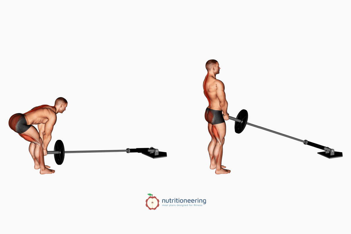 Landmine RDL Variation Alternate RDL Landmine Leg Exercises