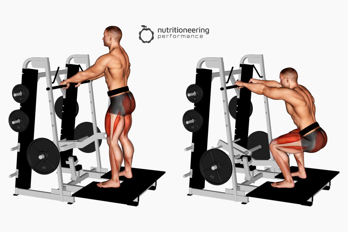 Leg Exercise Machines Belt Squat