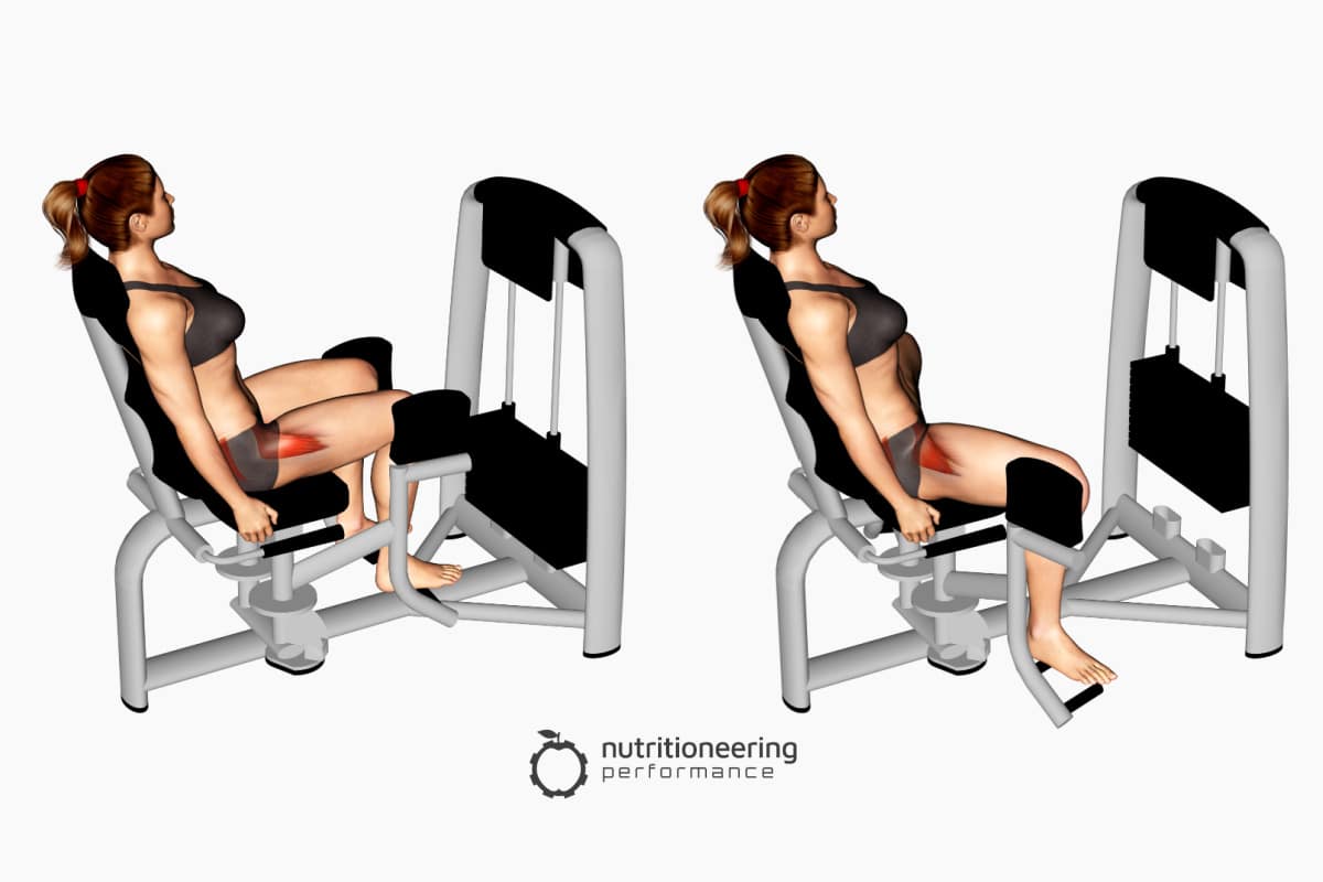 Leg Exercise Machines Hip Abduction