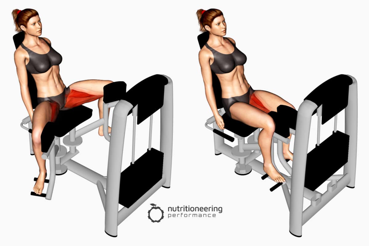 Leg Exercise Machines Hip Adduction