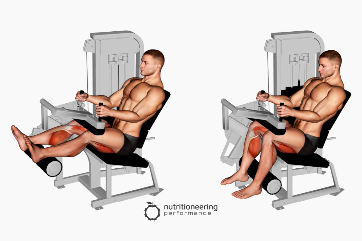 Leg Exercise Machines Seated Leg Curl