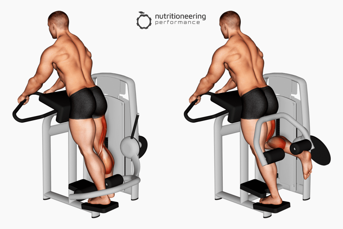 Leg Exercise Machines Standing Leg Curl