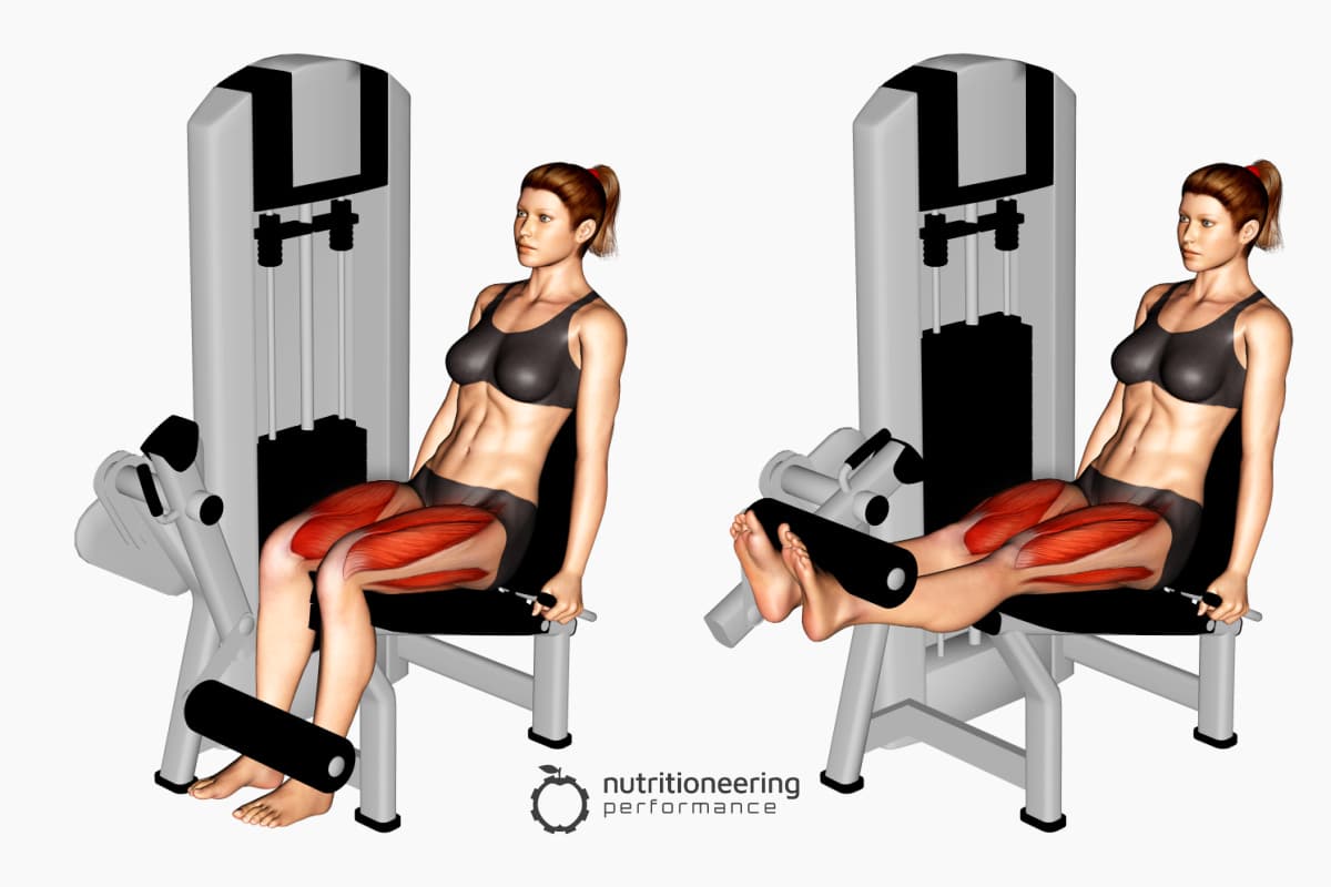 Leg Exercise Machines for Quads