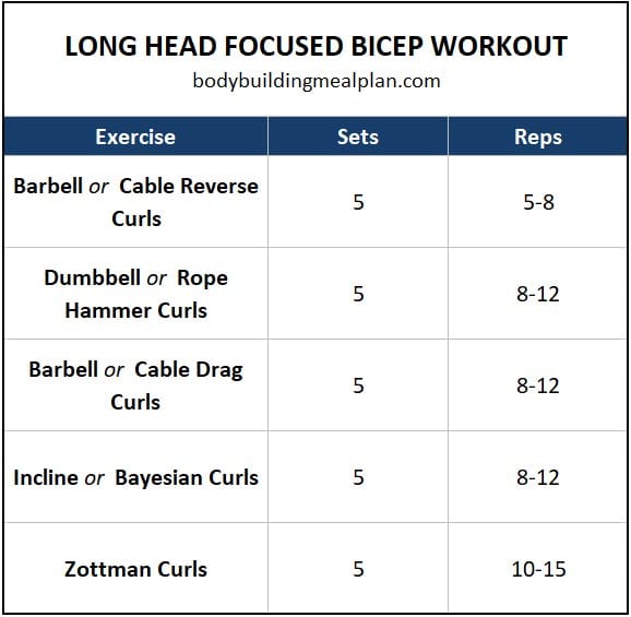 Long Head Bicep Workout