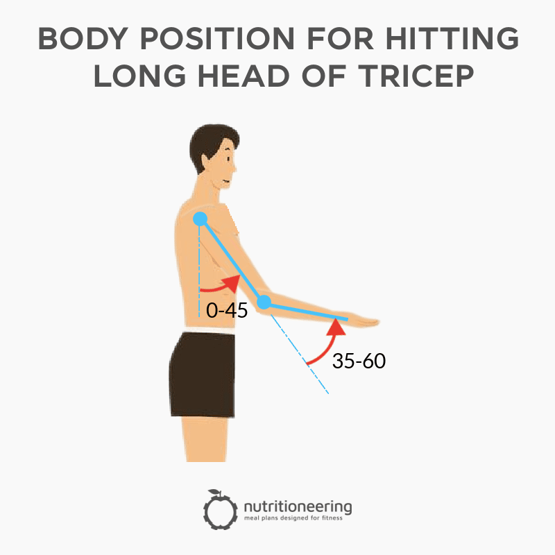 Long Head Tricep Exercises Body Position