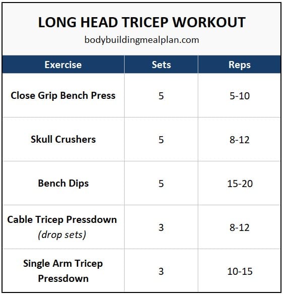 Long Head Tricep Workout