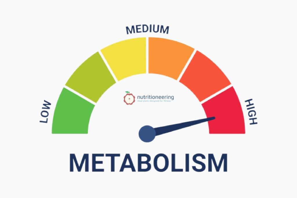 Low High Metabolic Rate