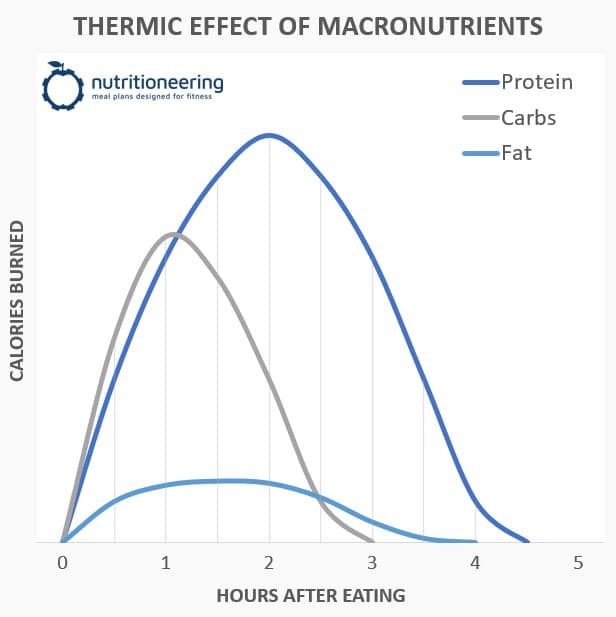 Macronutrient Calculator TEF