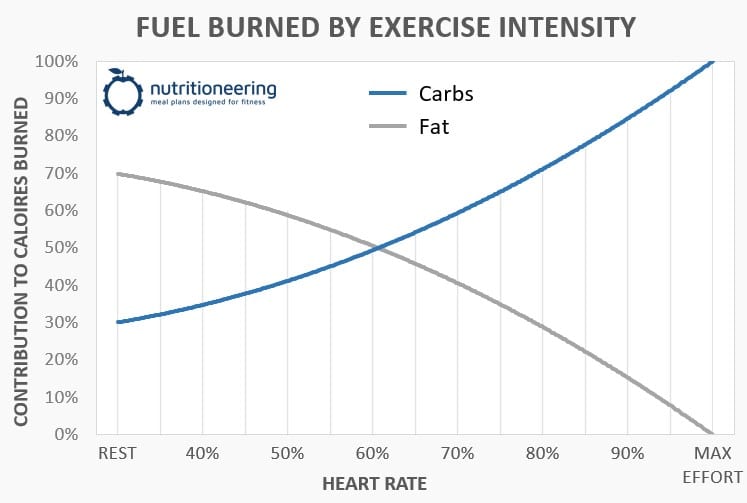 Macronutrient Calculator Carbs