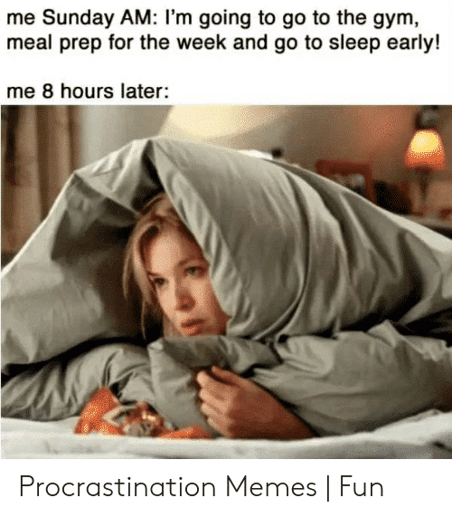 Meal Prep Memes Procrastination