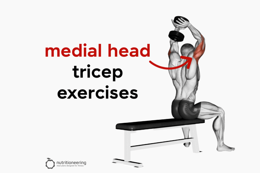 Medial Head Tricep Exercises