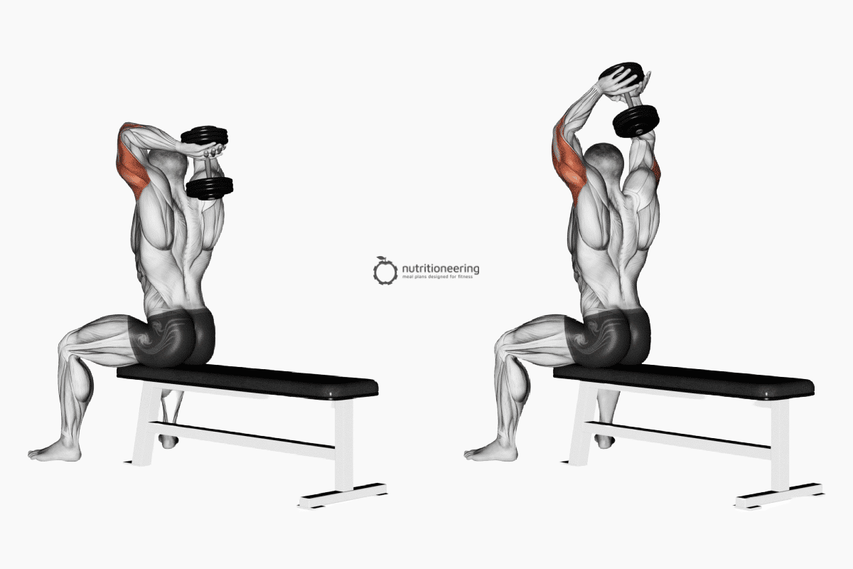 Dumbbell French Press Muscles Worked