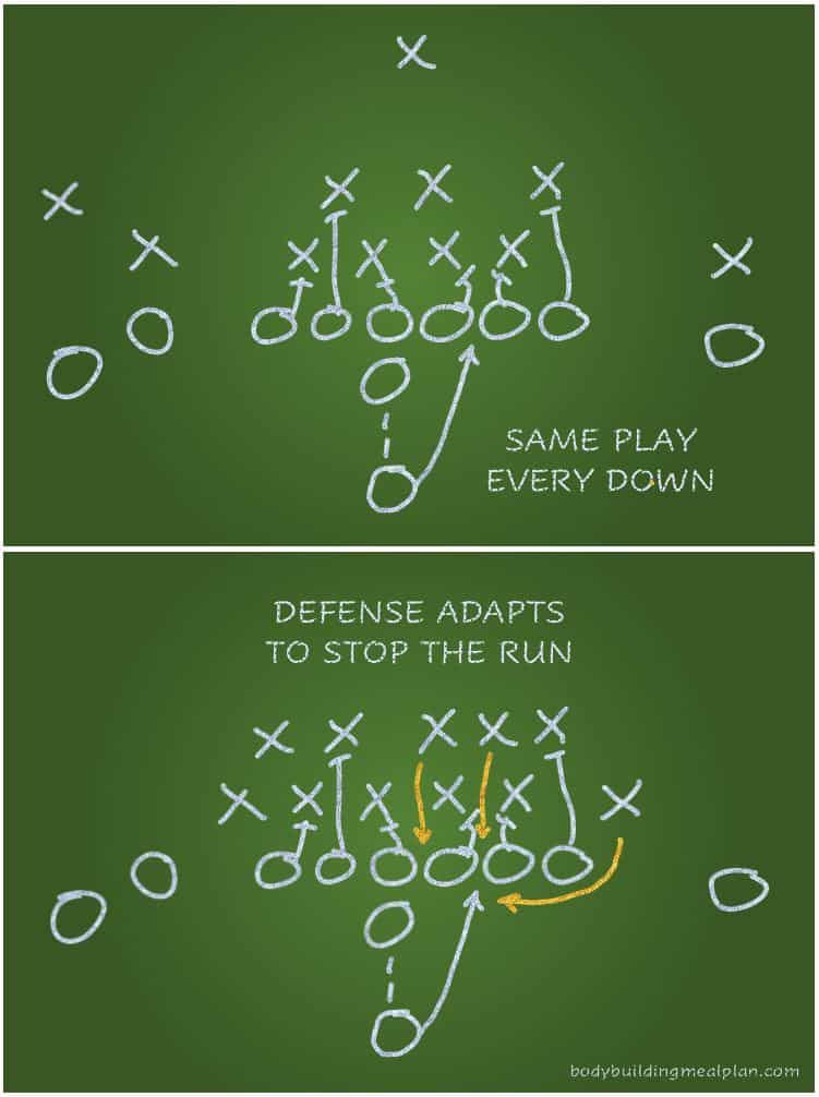 Metabolic Adaptation Analogy