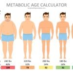 Metabolic Age Calculator For Men