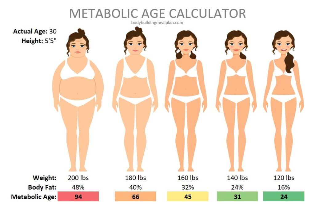 Metabolic Age Calculator