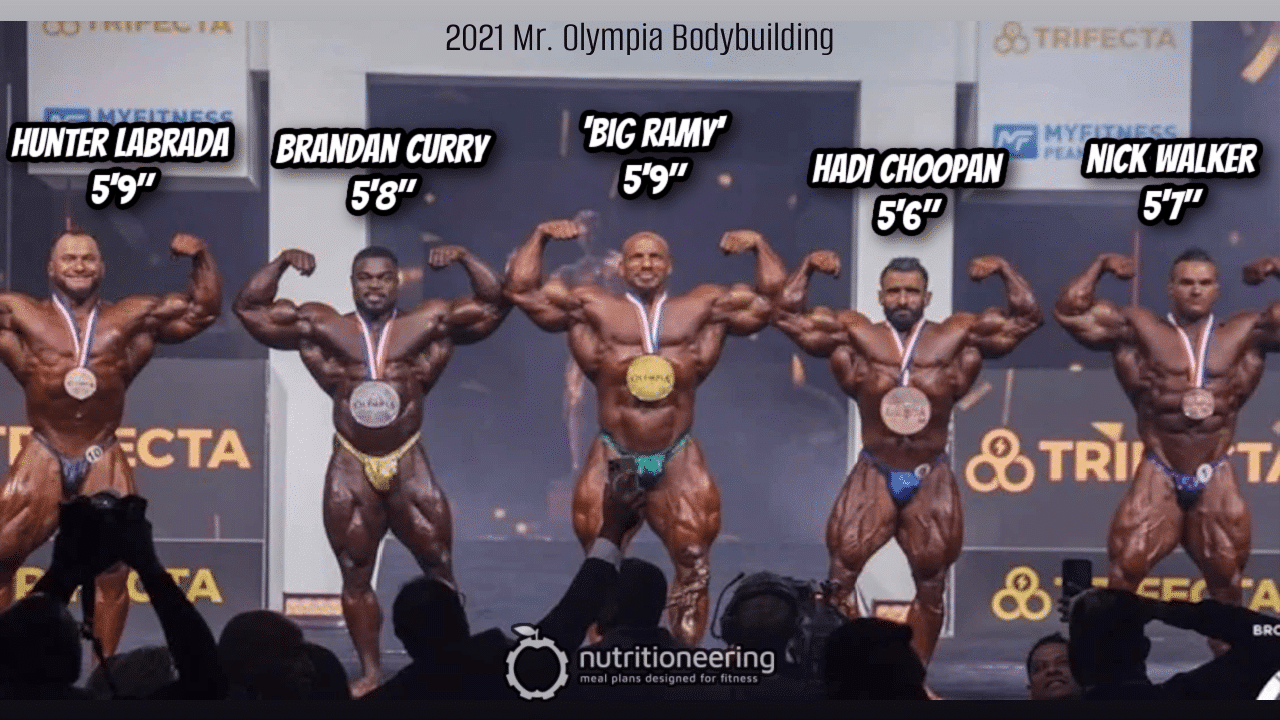 Nick Walker Height Comparison Nick Walker Height Comparison