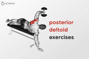 Posterior Deltoid Exercises