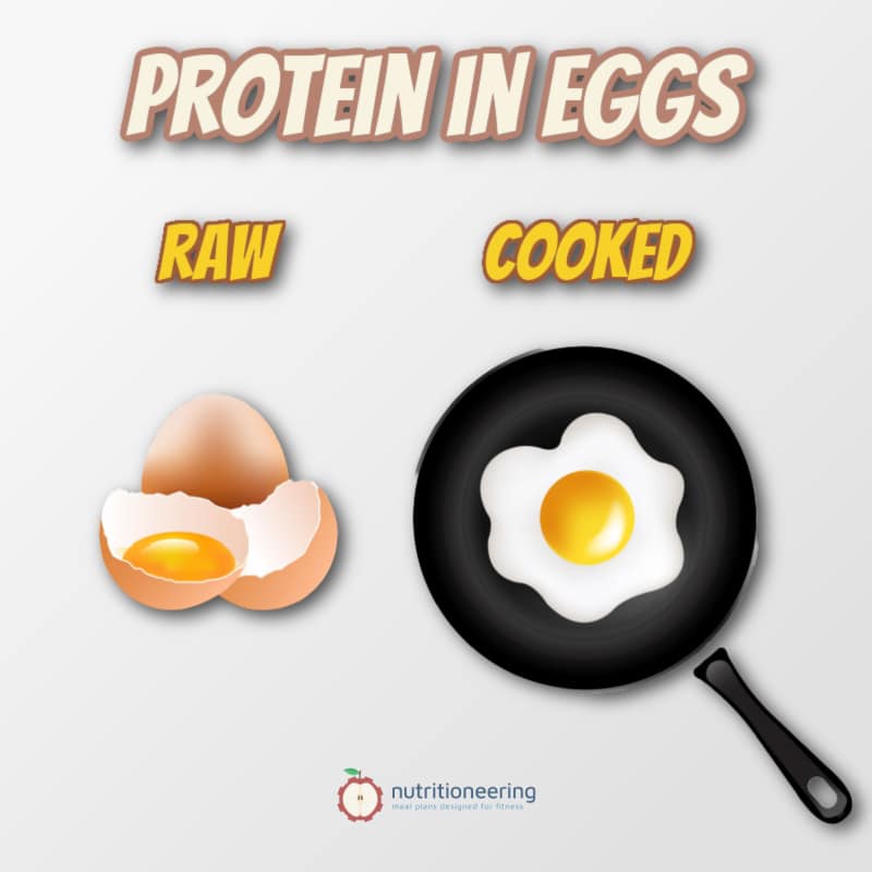 Protein In Eggs Raw vs Cooked