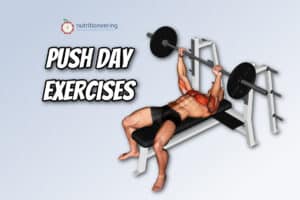Push Day Exercises
