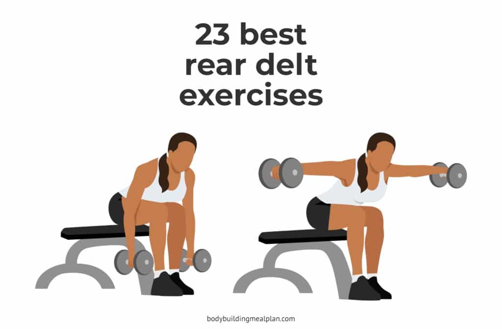 Rear Delt Exercises