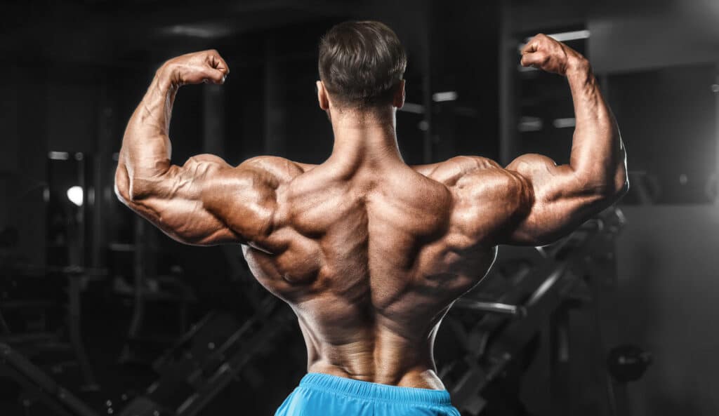Bicep Peak Exercises