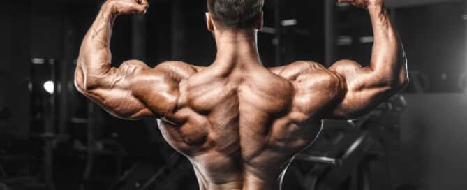 Bicep Peak Exercises