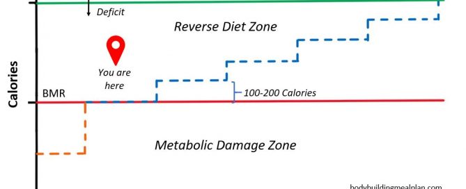 Reverse Dieting Calculator 2