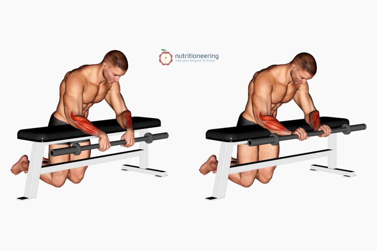 Reverse Wrist Curls