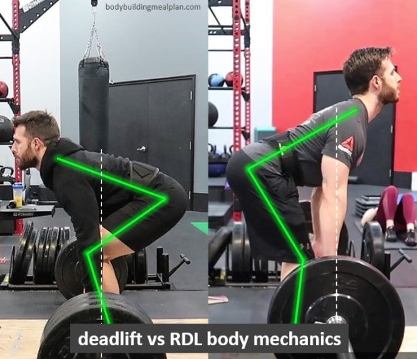 romanian-deadlift-rdl-vs-conventional-deadlift-differences