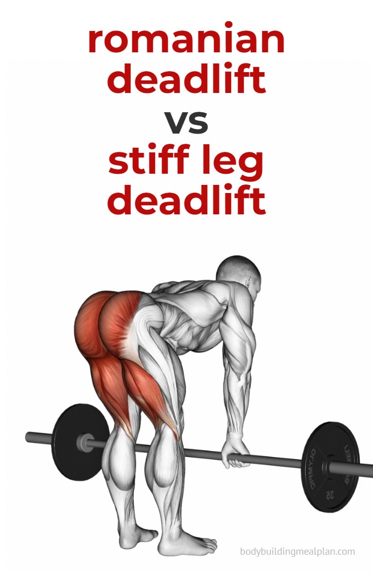Romanian Deadlift vs Stiff Leg Deadlift: Differences & Muscles Worked