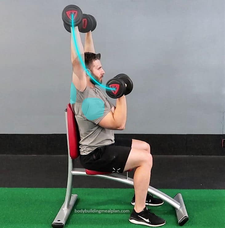 Seated Arnold Press