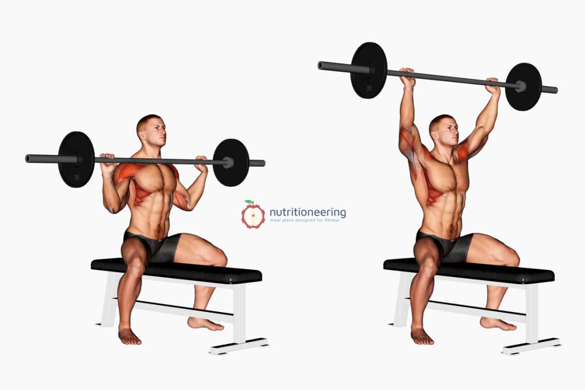 Seated Military Press Muscles Worked