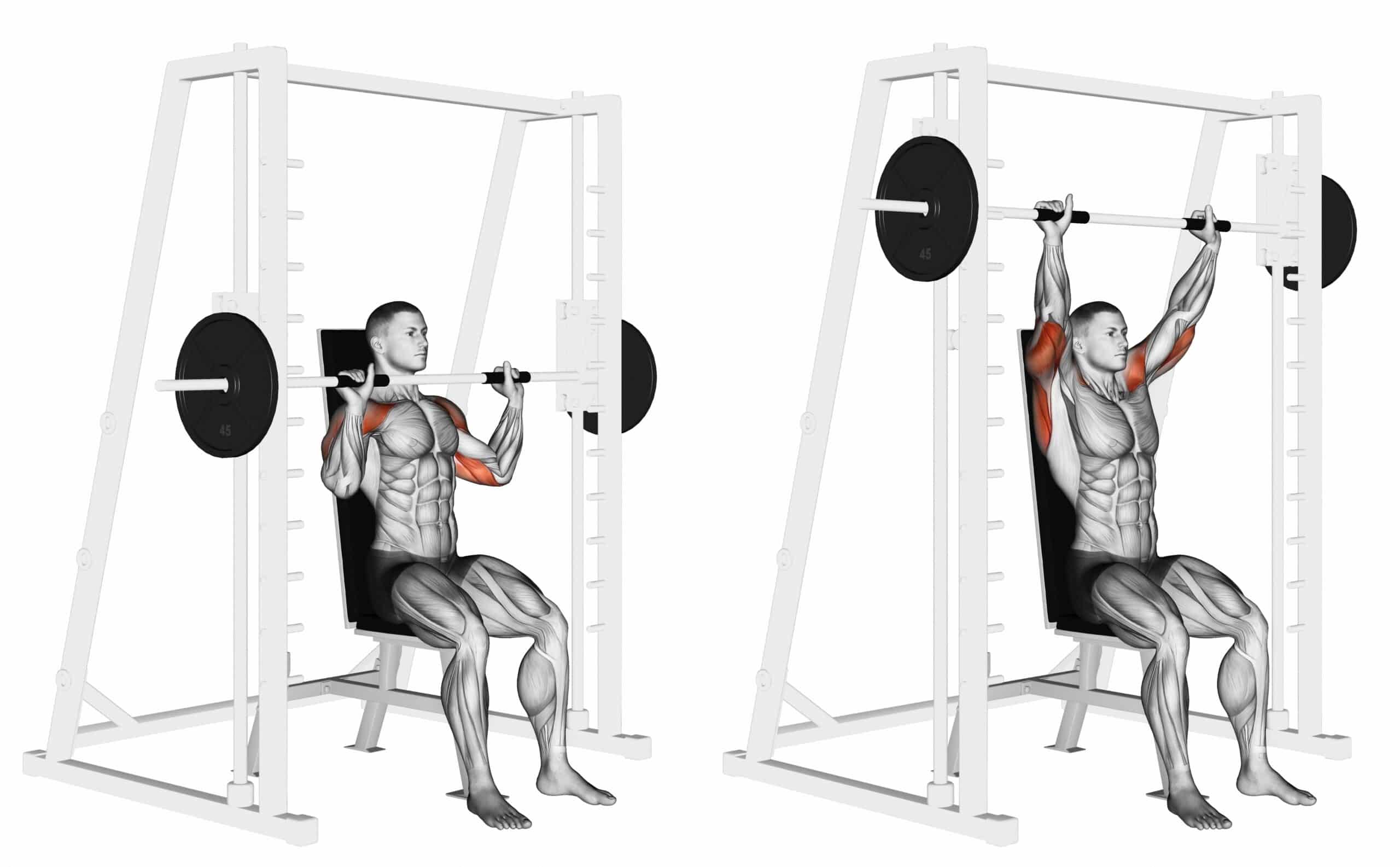 Smith Machine Shoulder Press Muscles Worked Smith Machine Shoulder Press Muscles Worked
