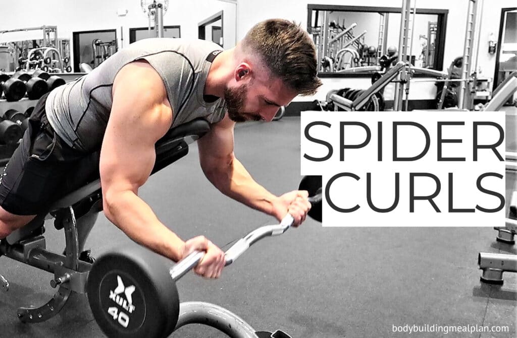 Spider Curls