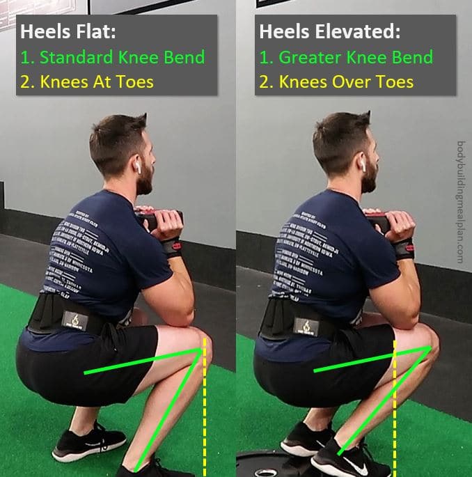 Dumbbell Quad Exercises Goblet Squat