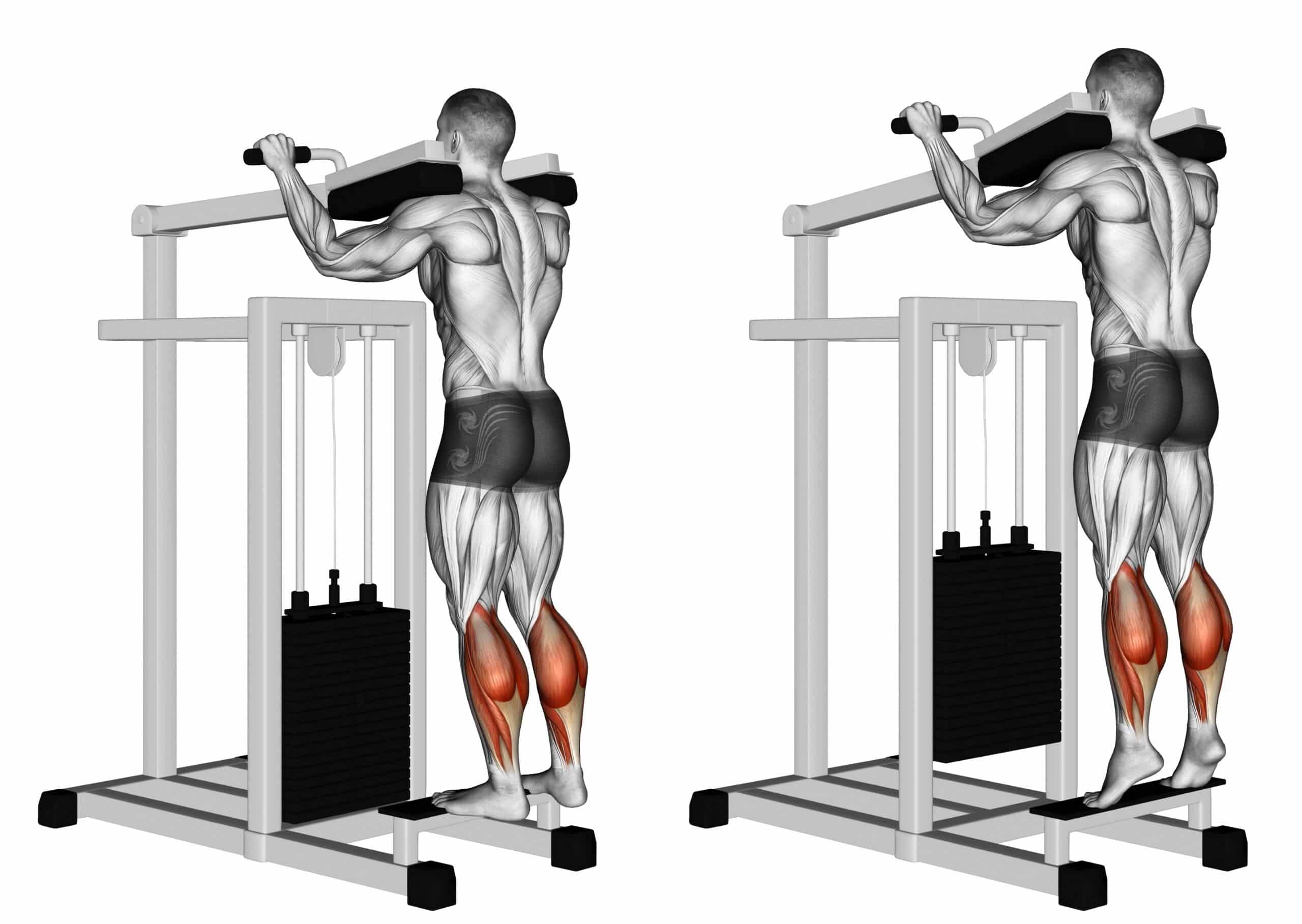 Leg Workout Machines Calf Raises
