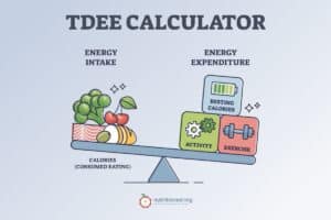 TDEE Calculator Calorie Intake