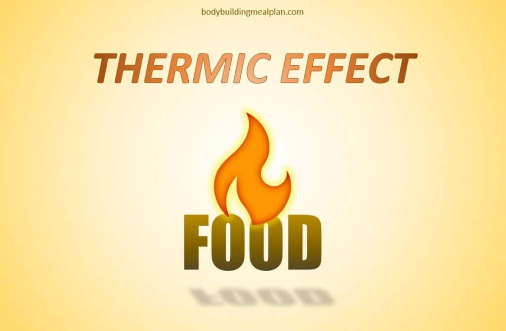 Thermic Effect of Food