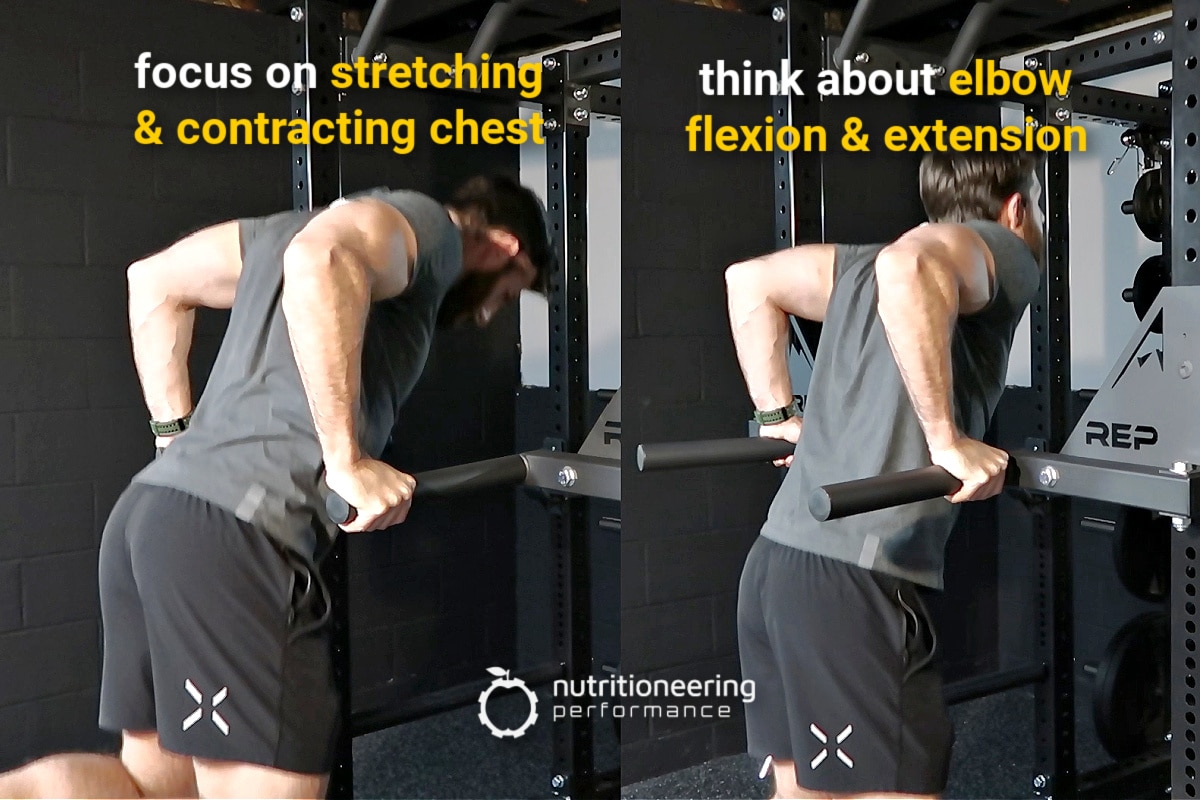 Tricep Dips vs Chest Dips Tips