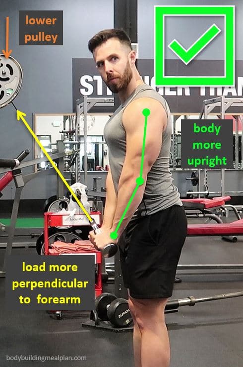 Triceps Pressdown Form Triceps Pressdown Form