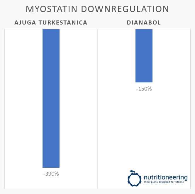 Turkesterone Mystatin Downregulation