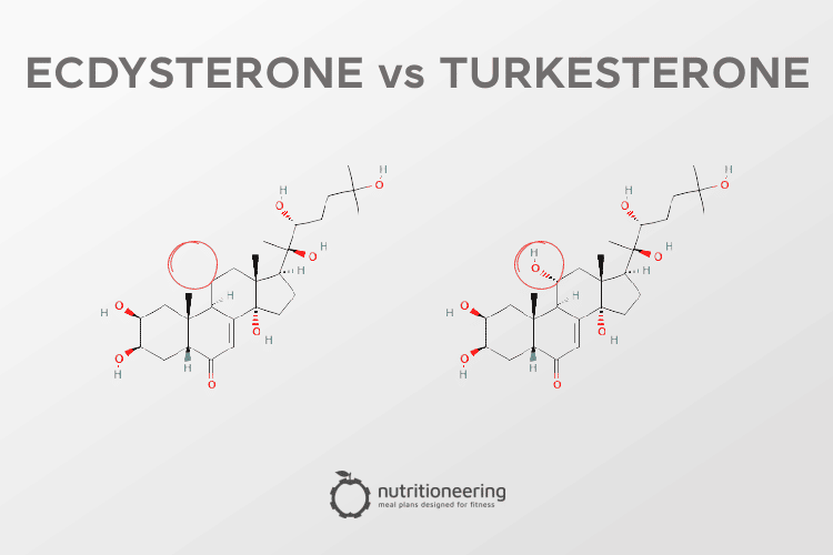 Turkesterone vs Ecdysterone