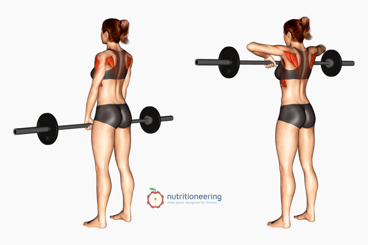 Smith Machine Upright Row Muscles Worked