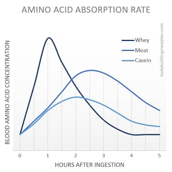 Whey Protein Absorption Rate Casein Protein Shake Before Bed vs Whey