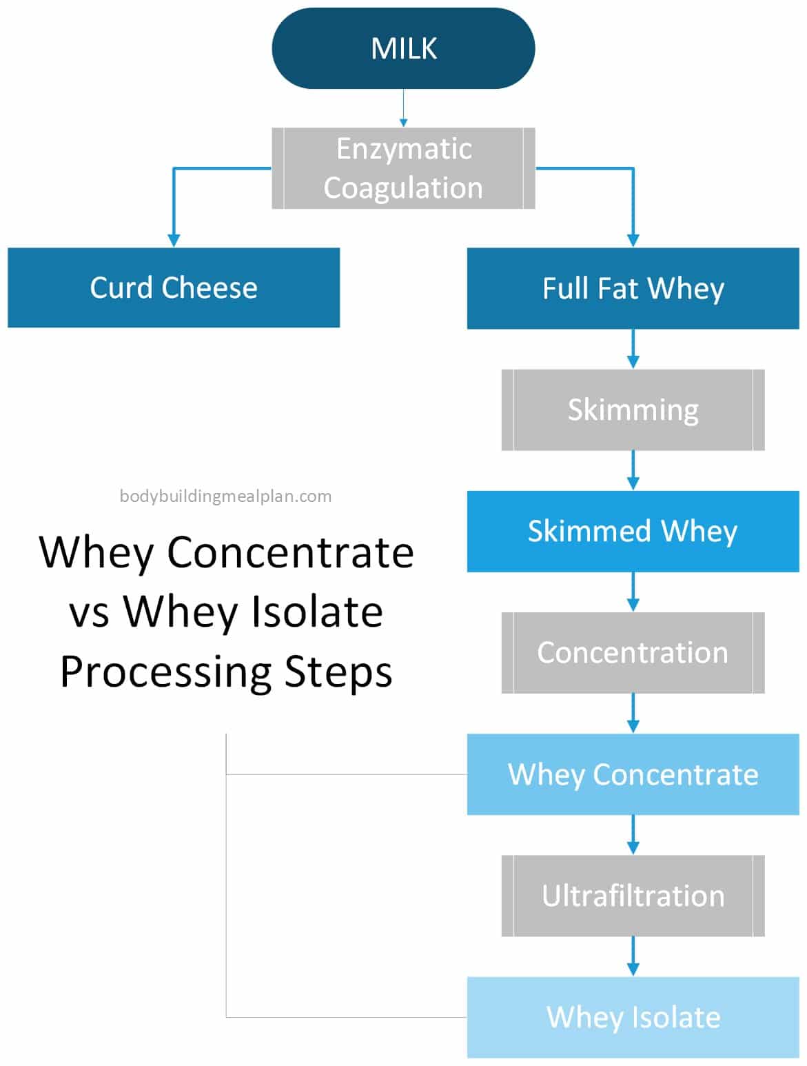 Whey Protein Isolate vs Concentrate Process