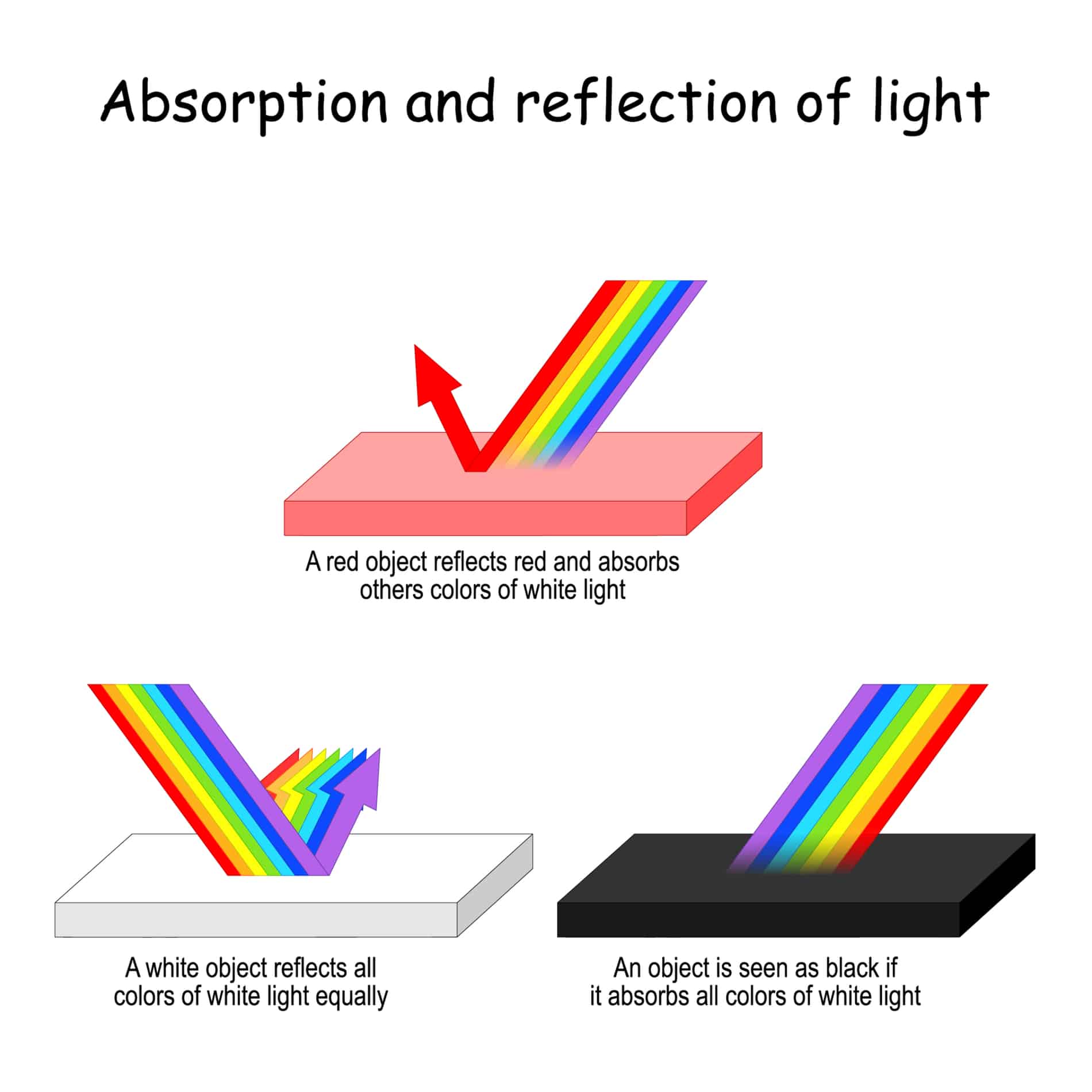 Why Do Bodybuilders Tan Light Reflection